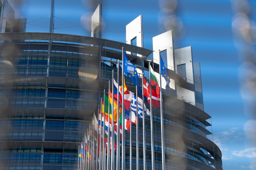 Några av EU-medlemsländernas flaggor syns i förgrunden. I bakgrunden skymtar delar av en parlamentsbyggnad.