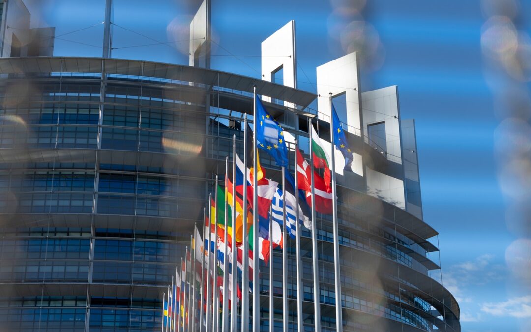 Några av EU-medlemsländernas flaggor syns i förgrunden. I bakgrunden skymtar delar av en parlamentsbyggnad.