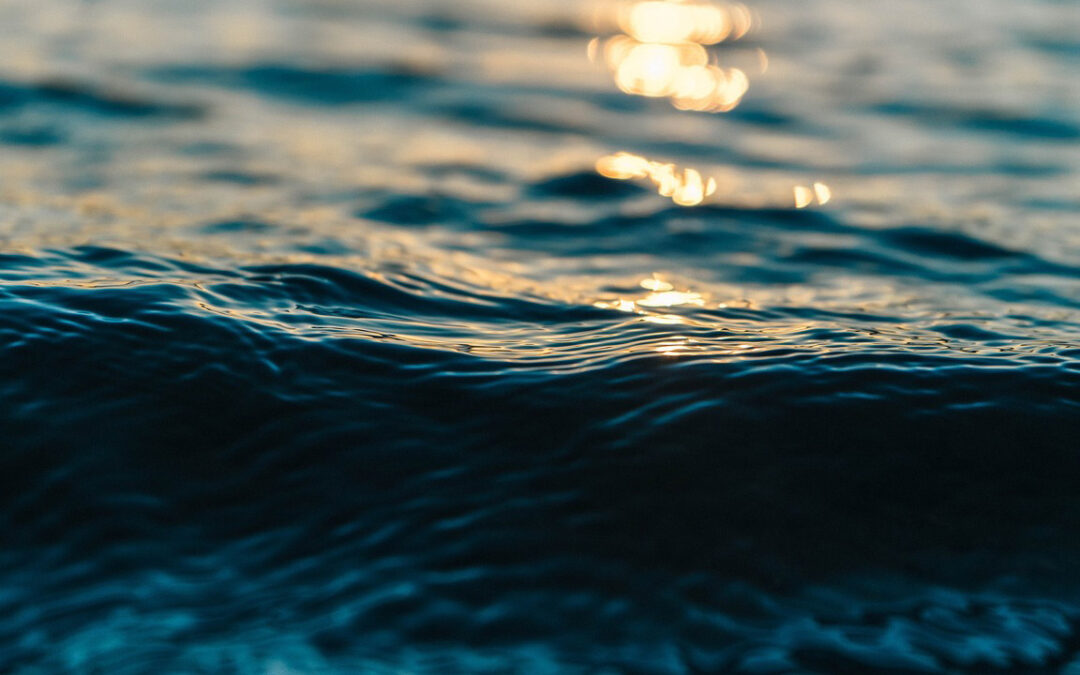 Europaforum Northern Sweden’s views on the upcoming European strategy for water resilience
