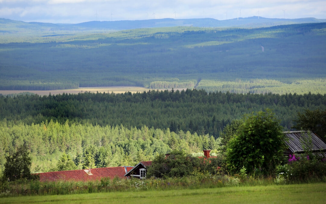 Europaforum Northern Sweden’s views on the EU proposal for an overall EU fund under shared management
